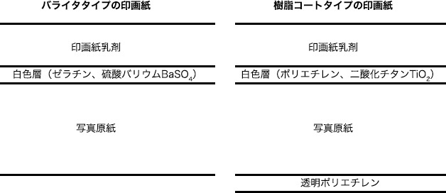 印画紙の断面図